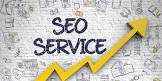 professional seo company