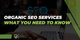 organic seo company