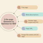 seo leads