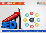 internet marketing seo consultant