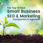 small business seo agency