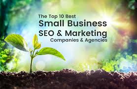 small business seo agency